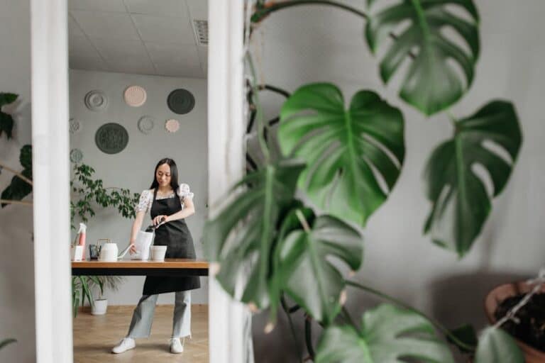 big low maintenance indoor plants