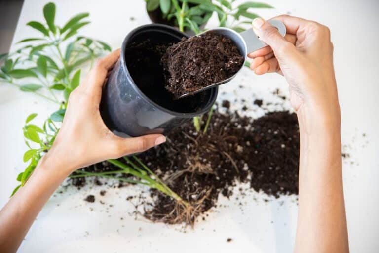 houseplant soil mix recipe
