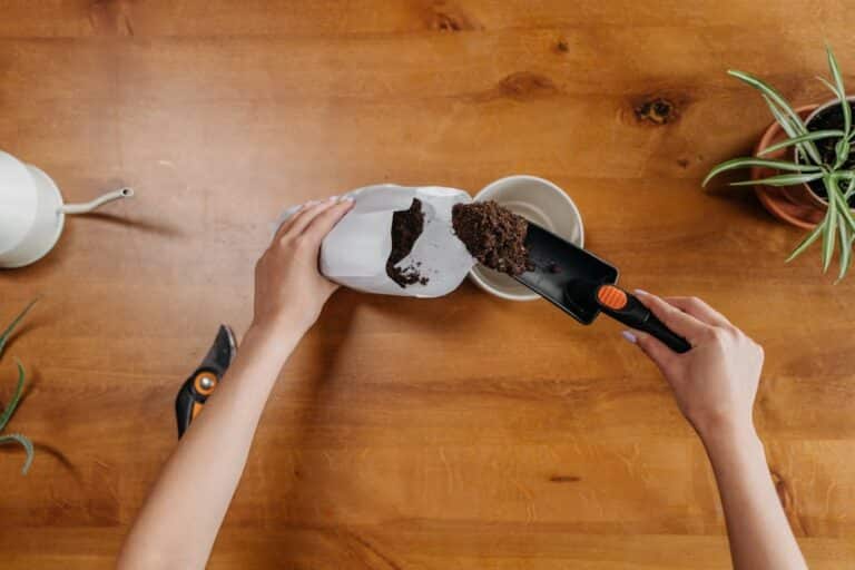 houseplant soil mix recipes