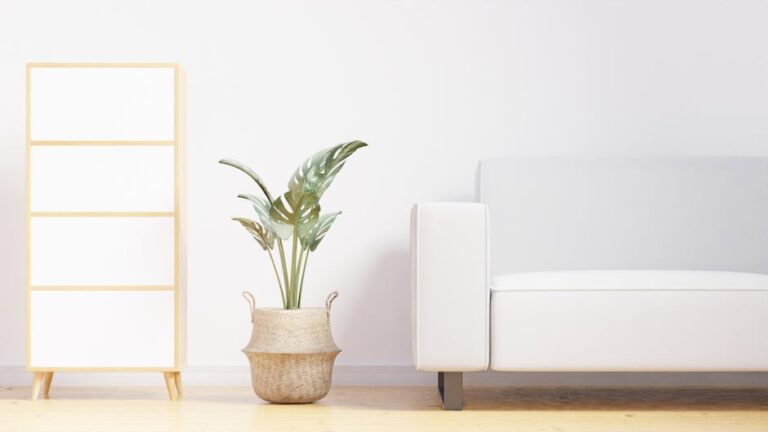 zz plant watering schedule