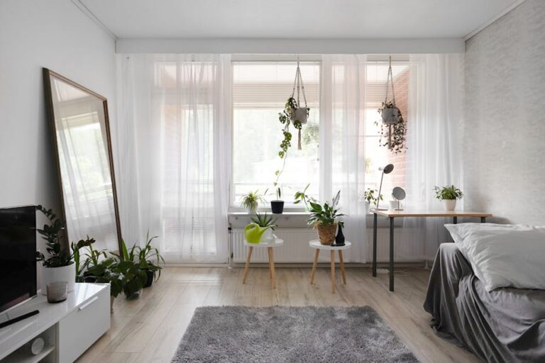 Small apartment plants