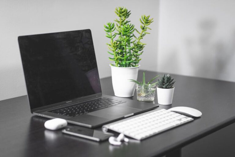best low maintenance office plants