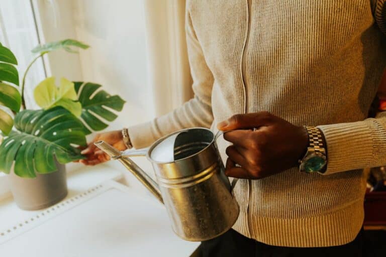 houseplant watering guide