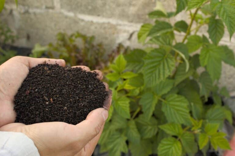 natural fertilizers homemade recipes